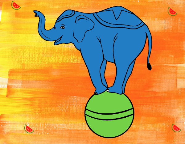 Elefante equilibrista