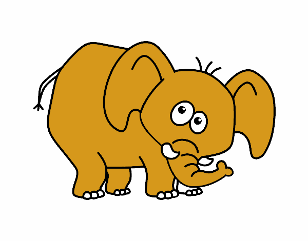 Elefante vergonzoso