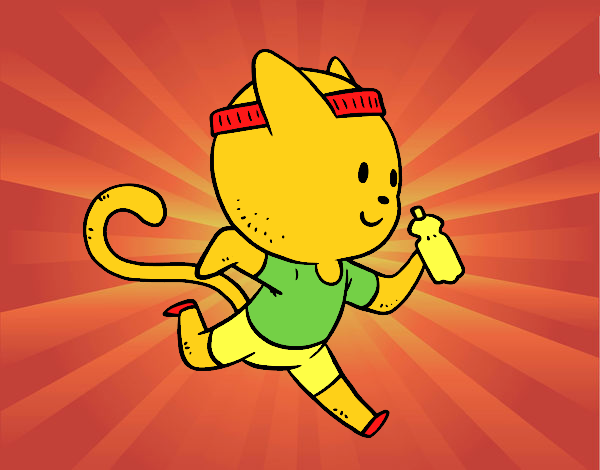 Gato runner