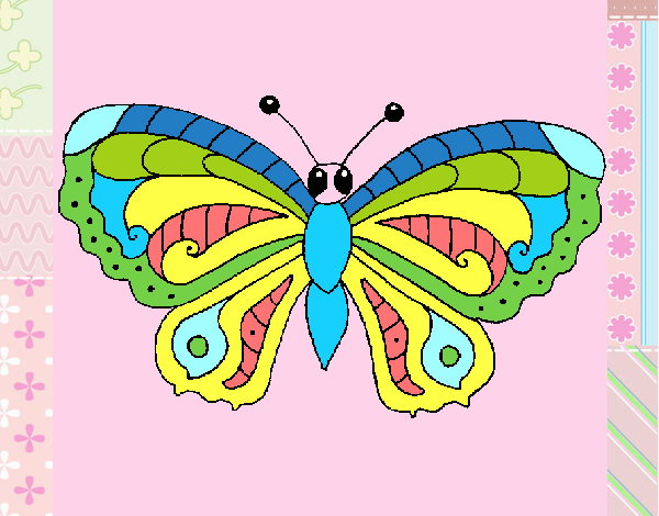 Mariposa 3a