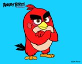 Red de Angry Birds