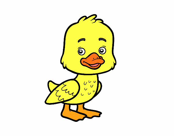 Un patito