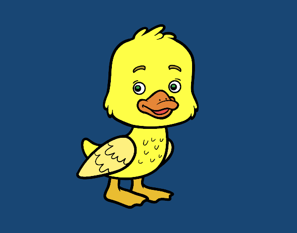 Un patito