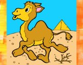 Dibujo Camello 1 pintado por meibol