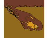 Dibujo Canguro rata pintado por meibol