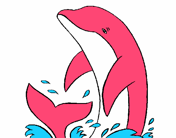 El delfin rosado