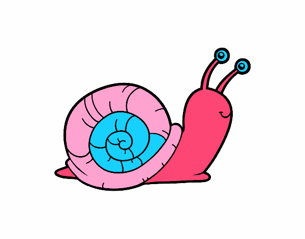 El caracol