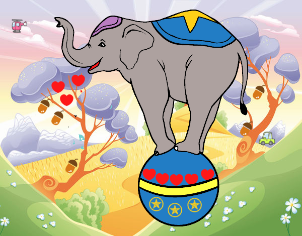 Elefante equilibrista