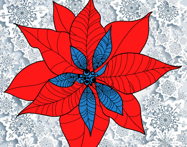 Flor de poinsetia