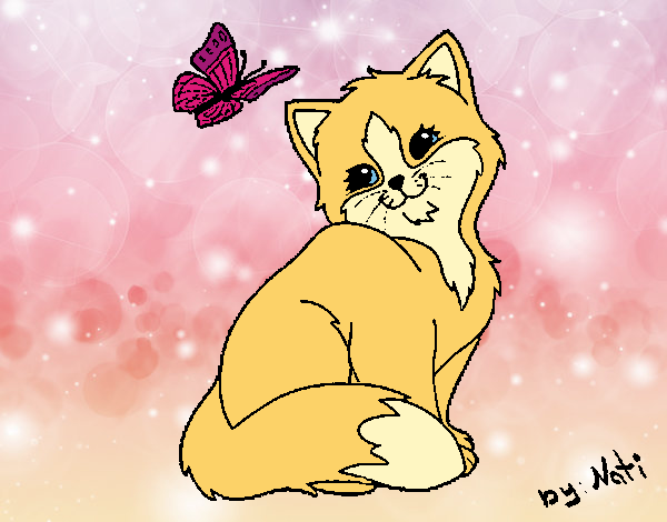 Gatito y mariposa