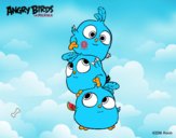 Dibujo Las crias de Angry Birds pintado por Benji19