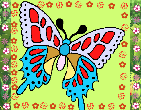 mariposa de maylin