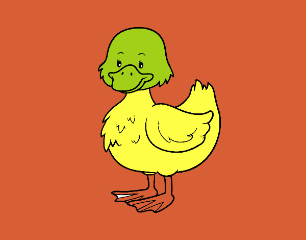 Patito de granja