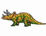 Triceratops