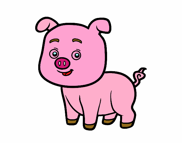 Un cerdito