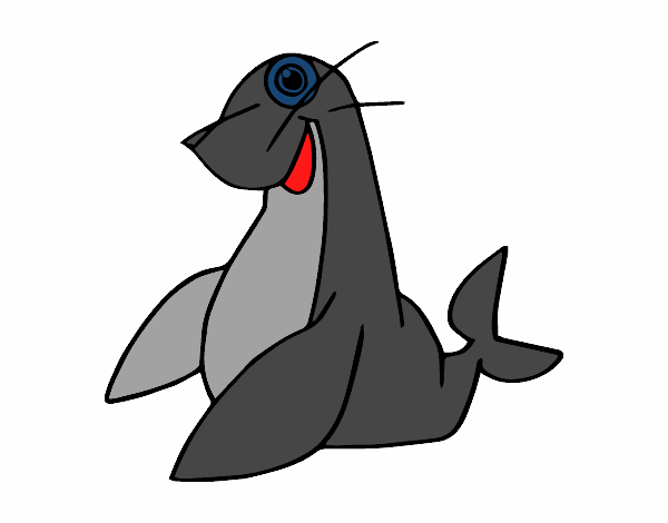 Foca monje