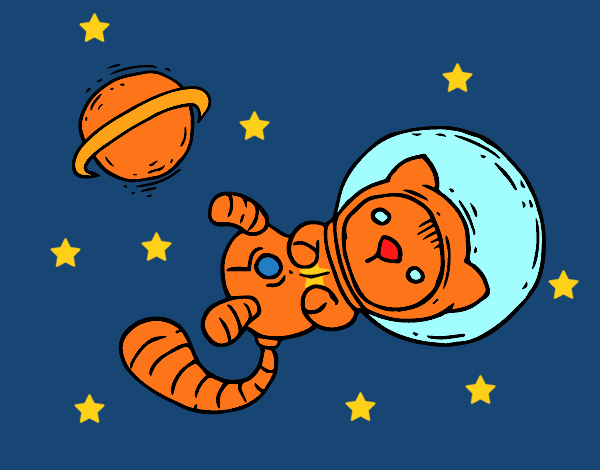 Gatito astronauta