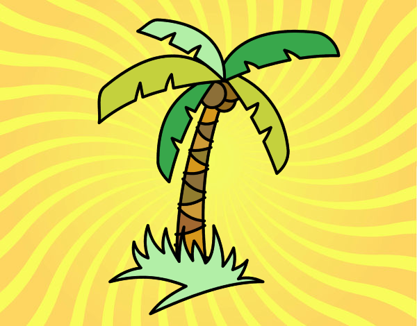 Palmera tropical