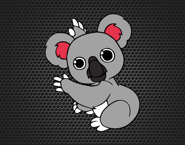 Un Koala