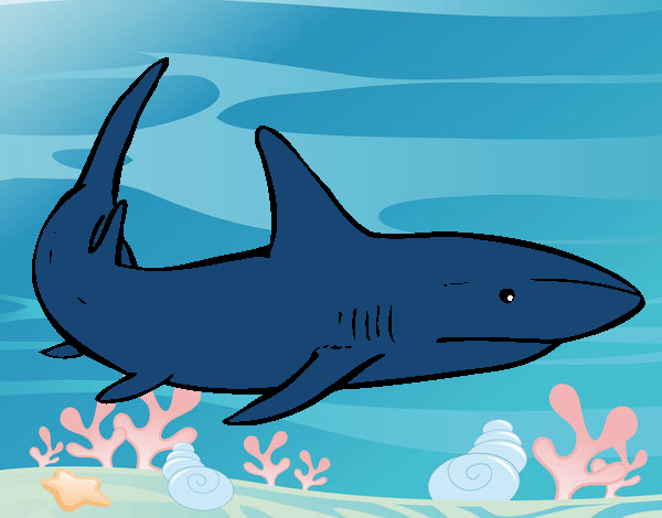 el tiburon azul 