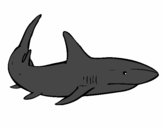 Dibujo Un tiburón nadando pintado por Vicky2012