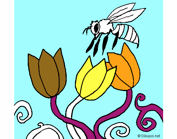 Abeja 3