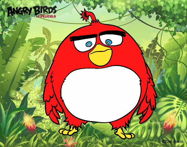 Bomb de Angry Birds