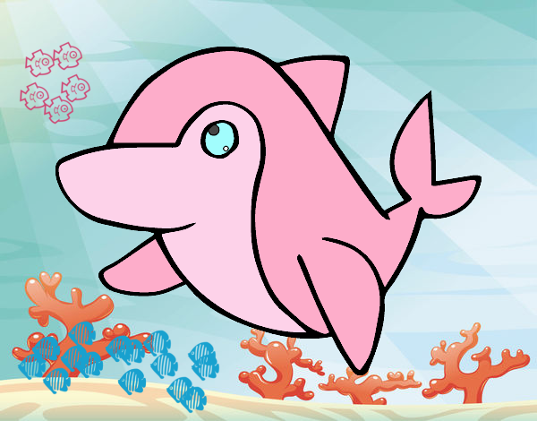 Delfin. rosado