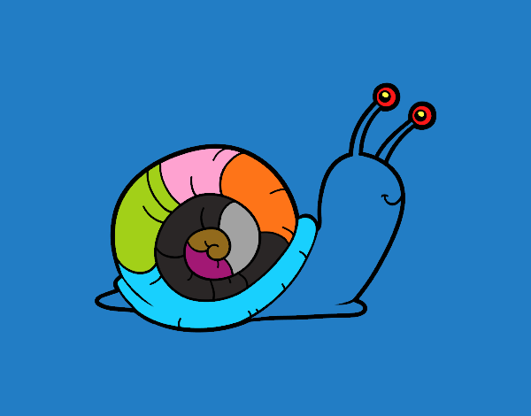 El caracol