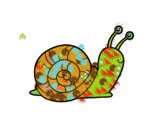 El caracol