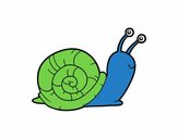 El caracol