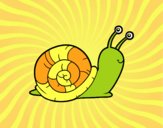 El caracol