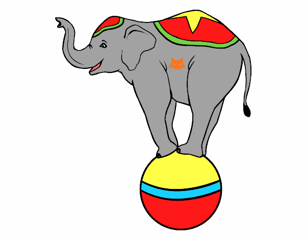 Elefante equilibrista