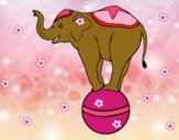 Dibujo Elefante equilibrista pintado por jake213