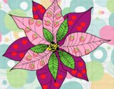 Dibujo Flor de poinsetia pintado por ashleeth67