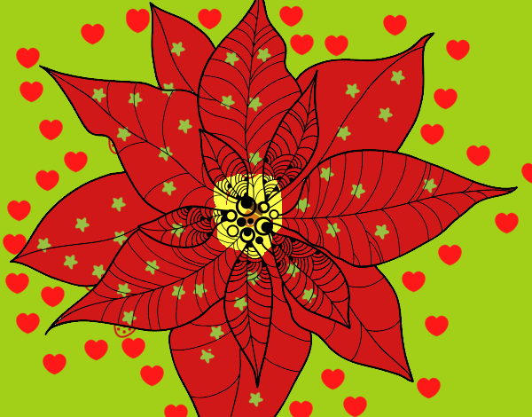 Flor de poinsetia