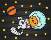 Gatito astronauta