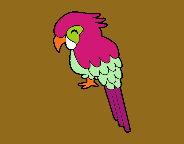 Guacamayo