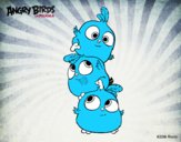 Las crias de Angry Birds