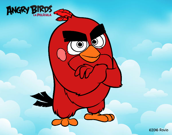 Red de Angry Birds