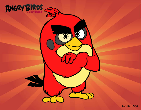 Red de Angry Birds