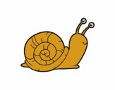 Un caracol