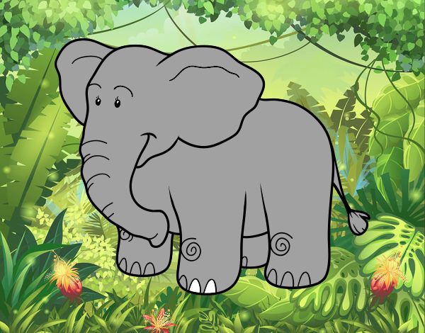 elefante