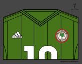 Camiseta del mundial de fútbol 2014 de Nigeria