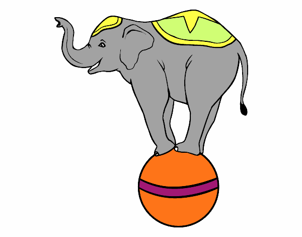 Elefante equilibrista