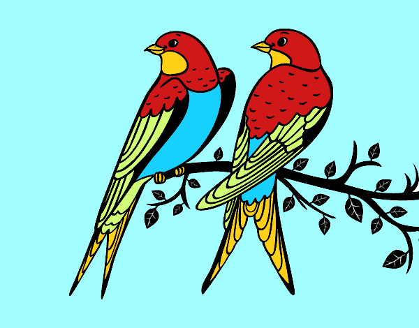 Pareja de pajaros