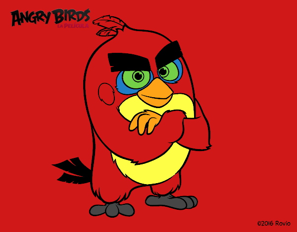 Red de Angry Birds