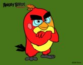 Red de Angry Birds