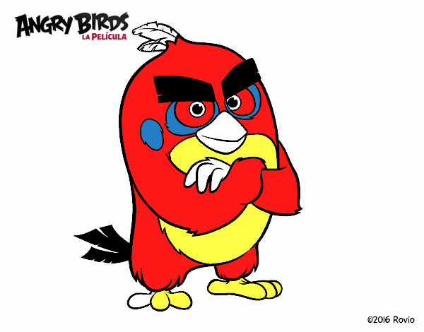 Red de Angry Birds