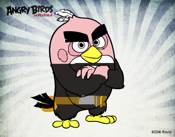 Red de Angry Birds